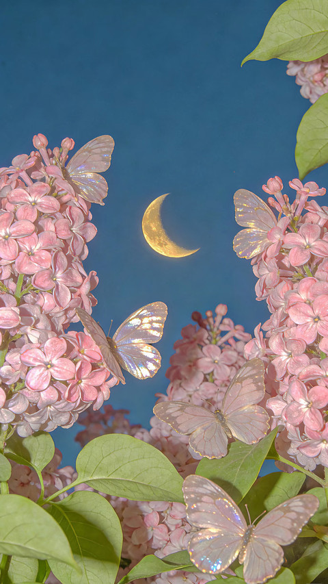 月下花影的两重浪漫 screenshot