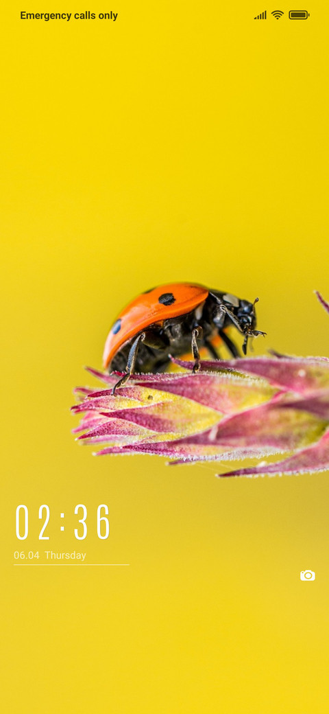 Special Yellow screenshot