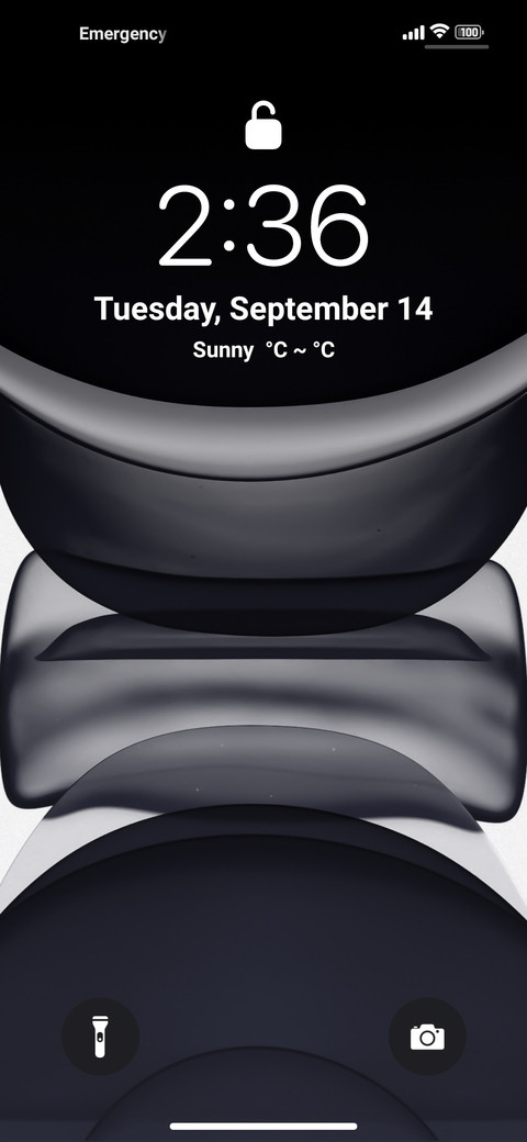 Realiox 13_Dual screenshot