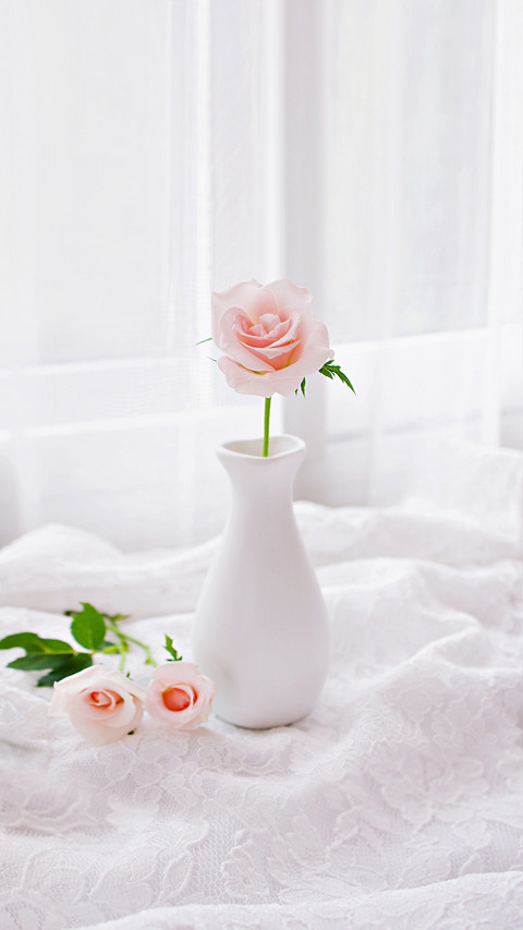 Pink Pastel Rose Flowers in Vase on Table screenshot