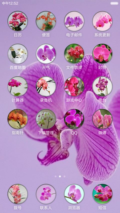 蝴蝶兰【全图标覆盖+高清壁纸】 screenshot