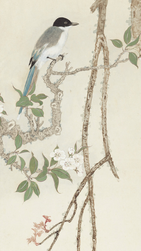 墨画梨花 screenshot