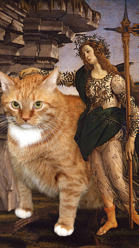 橘猫“大闹”世界名画 screenshot