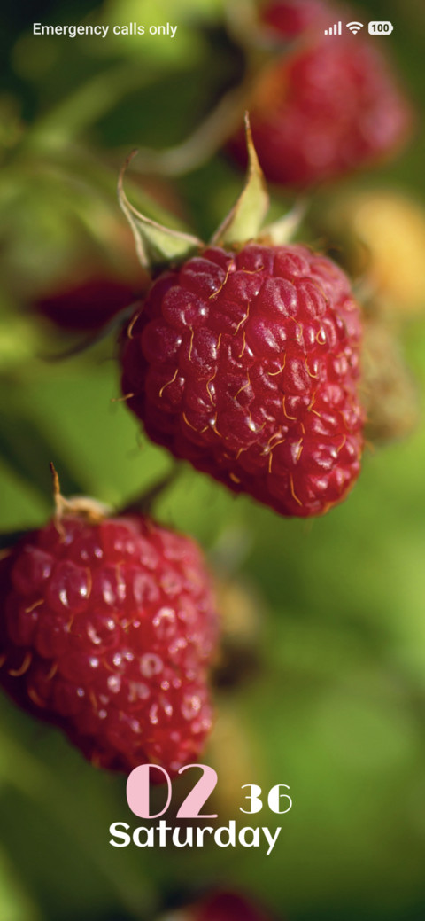 Berry Duo screenshot