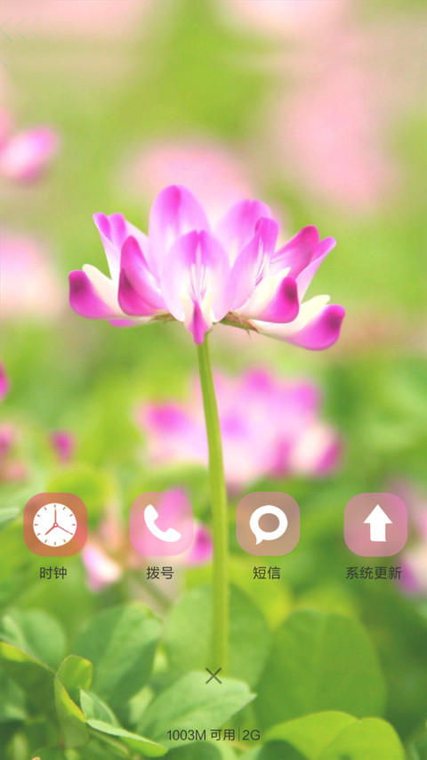 树荫 screenshot