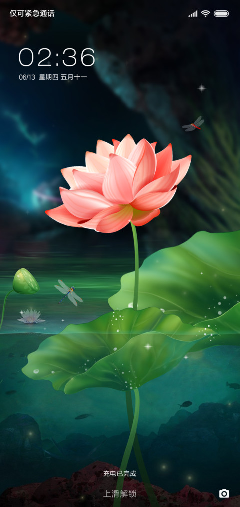 半夏荷花唯美古韵 screenshot