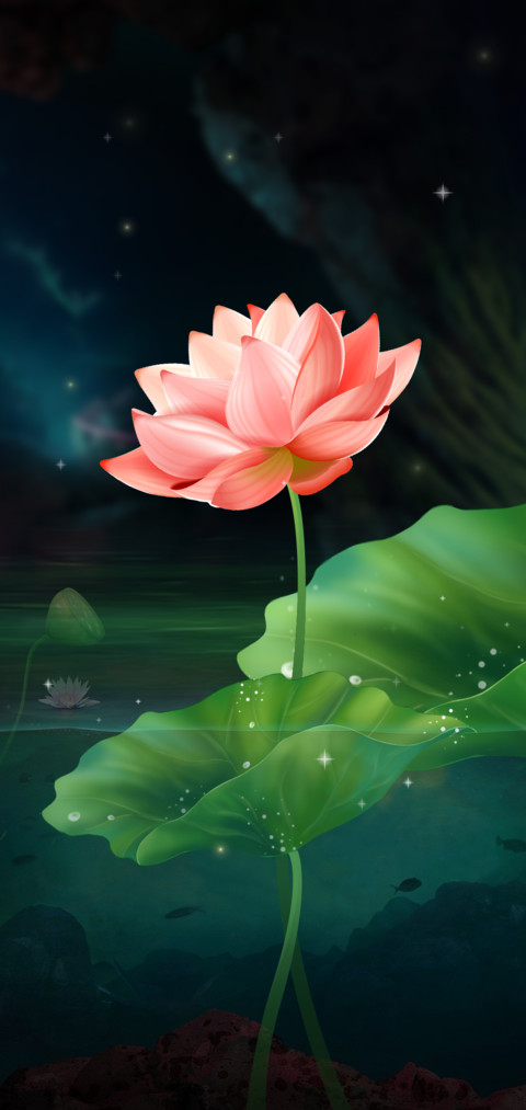半夏荷花唯美古韵 screenshot