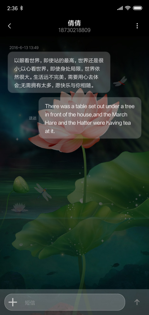 半夏荷花唯美古韵 screenshot