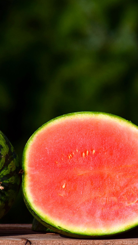 watermelon (11) screenshot