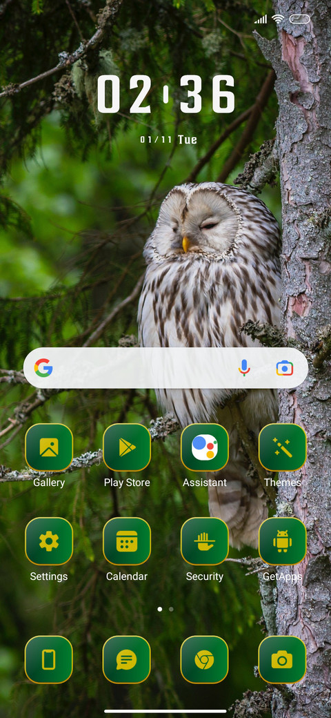 Jungle View screenshot