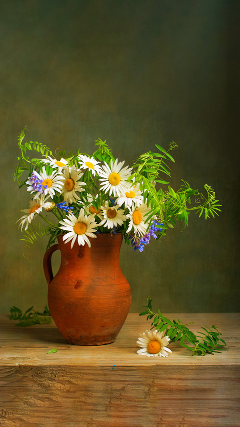 Still life with a bouquet of daisies screenshot