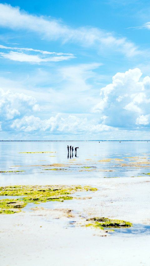 Fishing at low tide screenshot