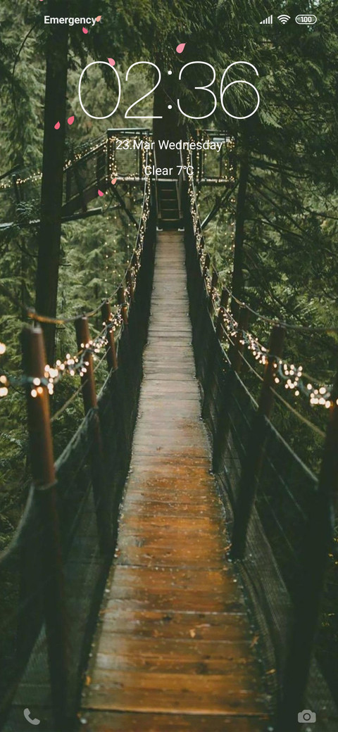 deep forest【TT】 screenshot