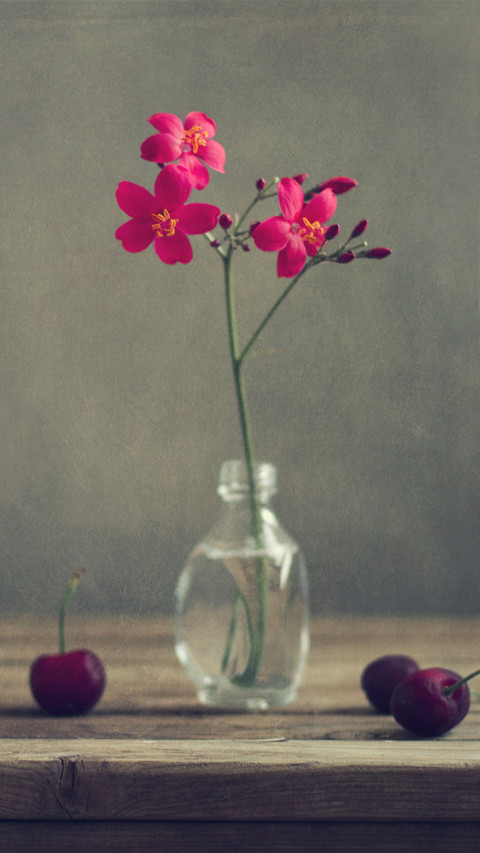 How to learn flower arrangement 4 screenshot