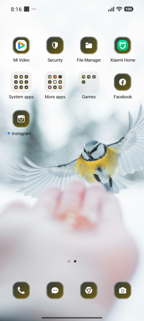 Winter Bird screenshot