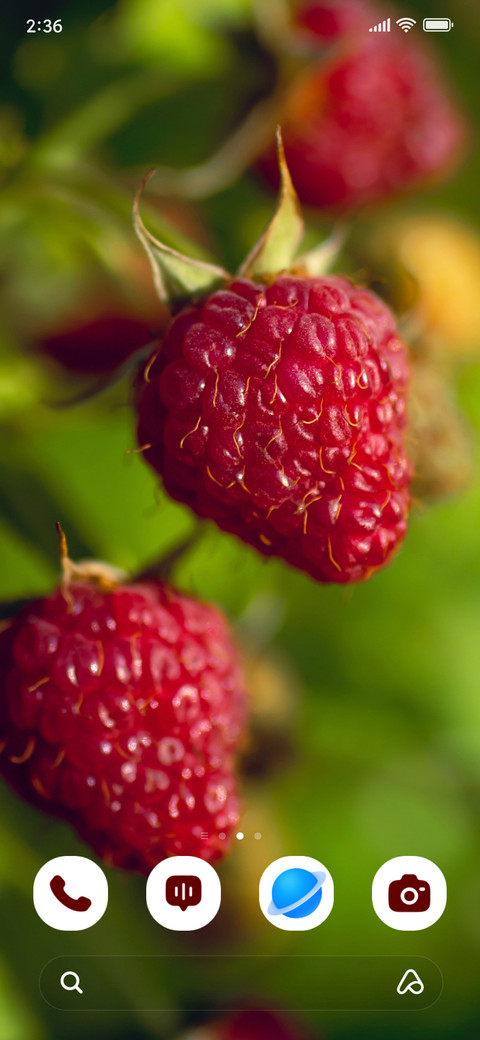 Berry Duo screenshot