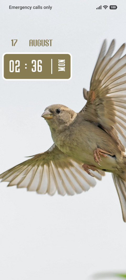 Wing Bloom screenshot