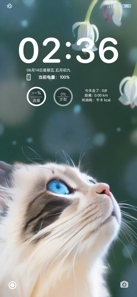 猫咪 screenshot