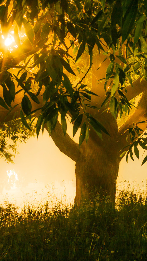 The hazy sunrise screenshot