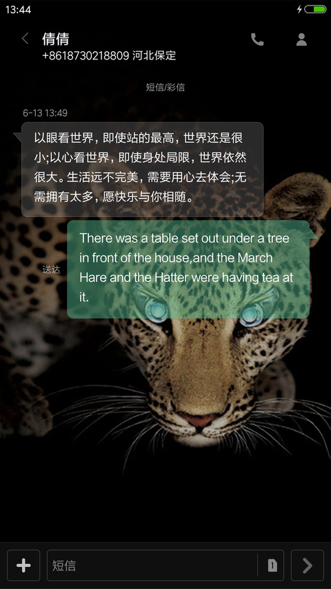 猎豹（雪花特效） screenshot