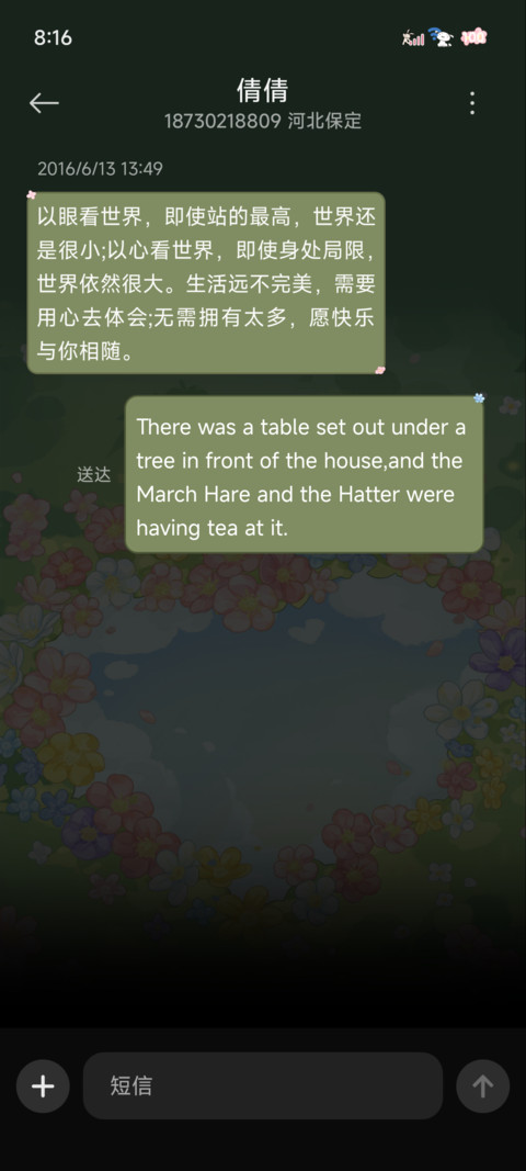 蜡笔小新 春日花朵 screenshot