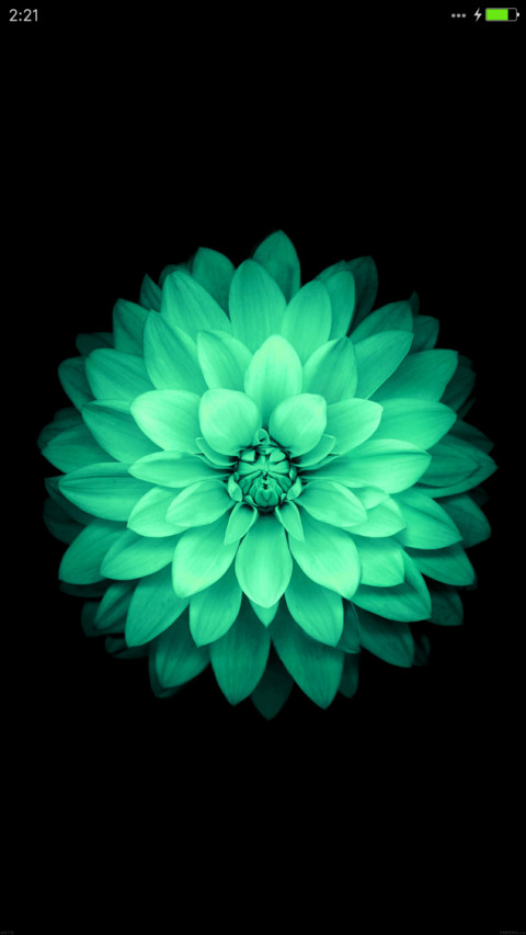 iOS Green screenshot