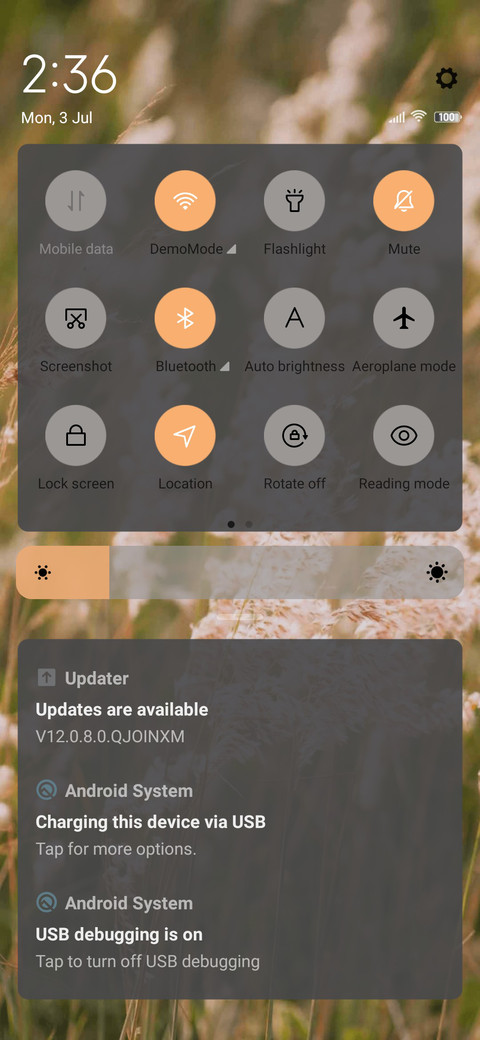 Ear of rice screenshot