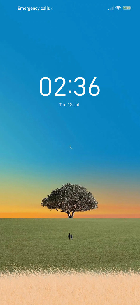 Distant view screenshot