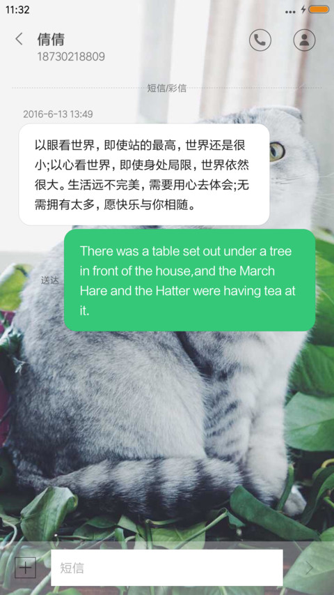 可爱猫咪 screenshot