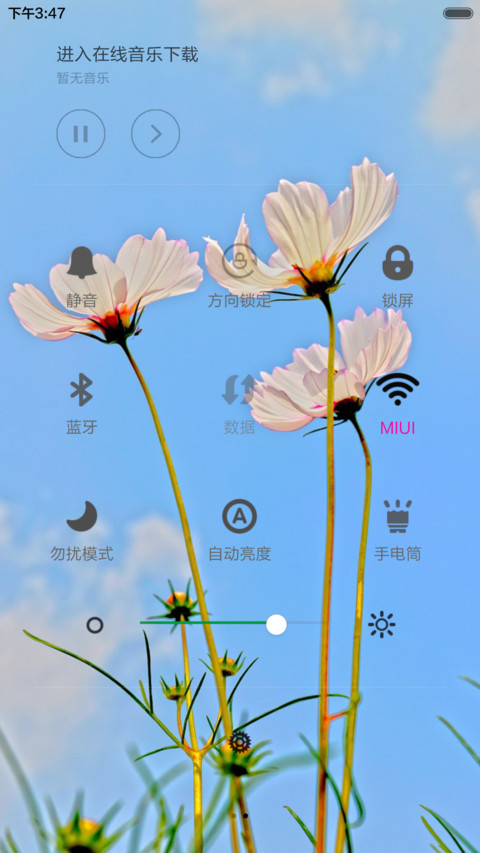 清新简约波斯花 screenshot