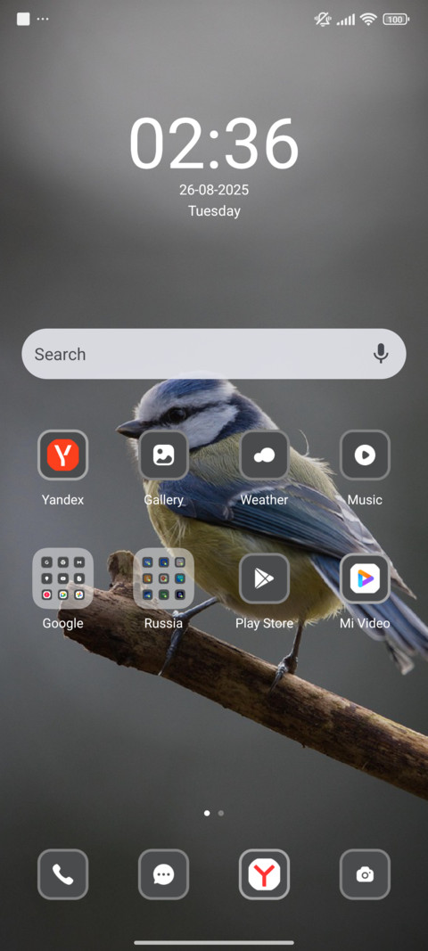 Bird screenshot