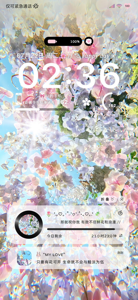 丁达尔沉溺花海 screenshot