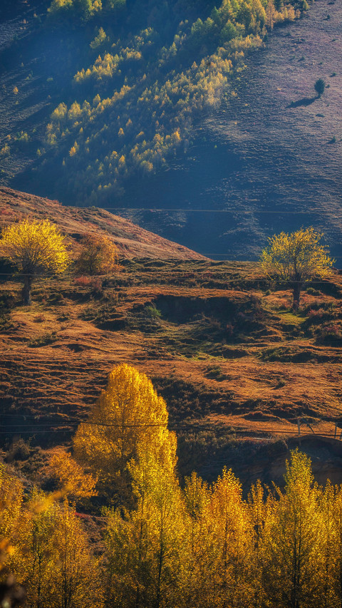 Autumn Scenery On Earth screenshot