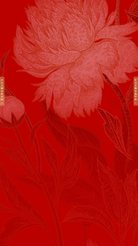 花样新年 screenshot