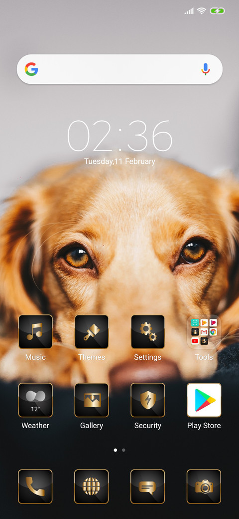 Dog_3MDS screenshot