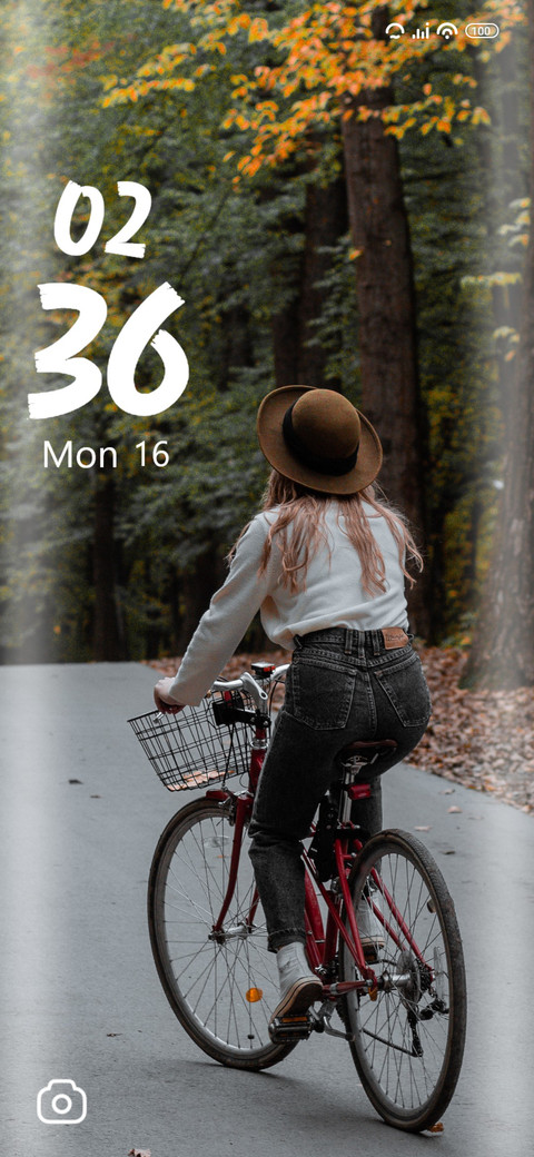 Bicycle screenshot