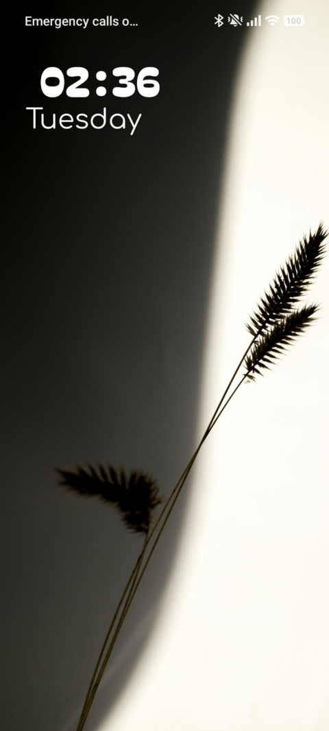 Mono Vase screenshot