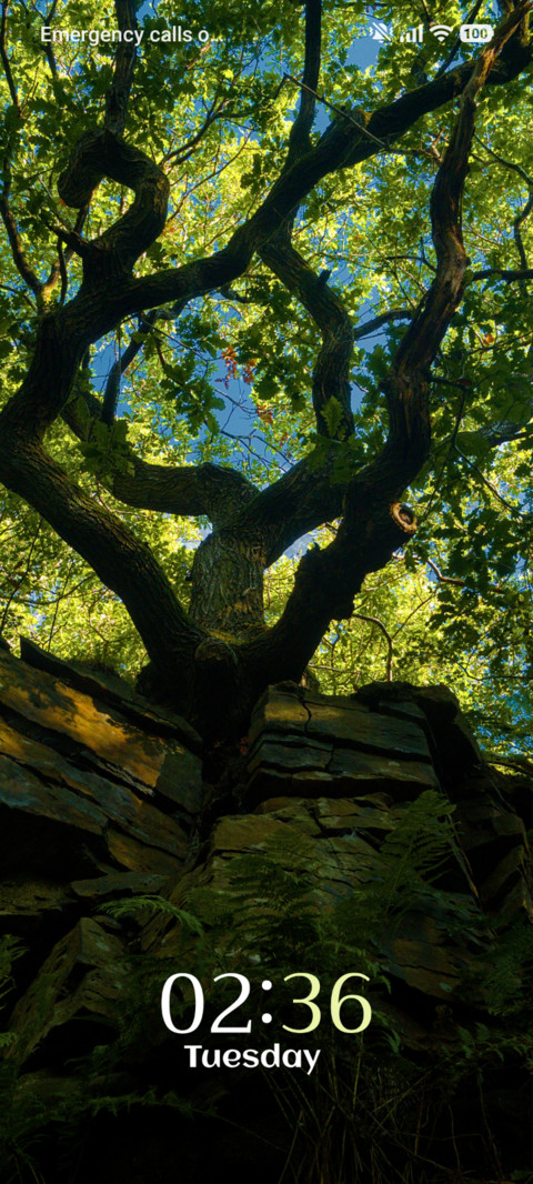 Stone Survivor screenshot
