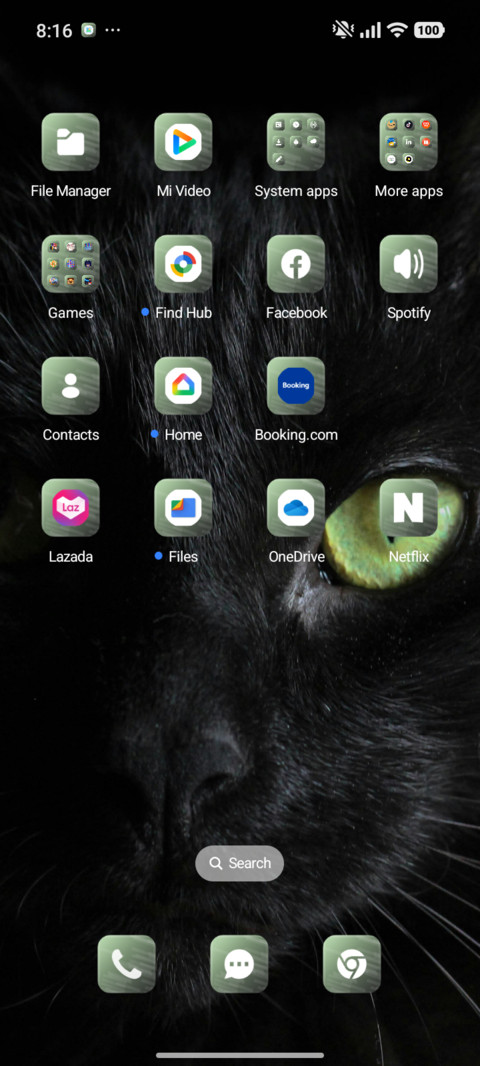 The Look screenshot