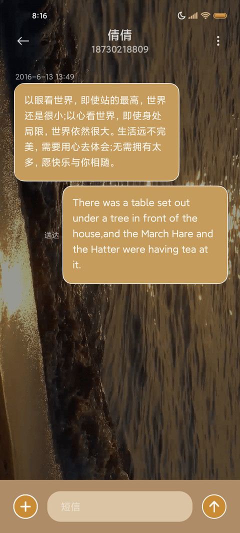 动态视频金光海岸 screenshot
