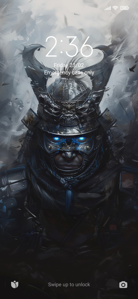Samurai mask screenshot