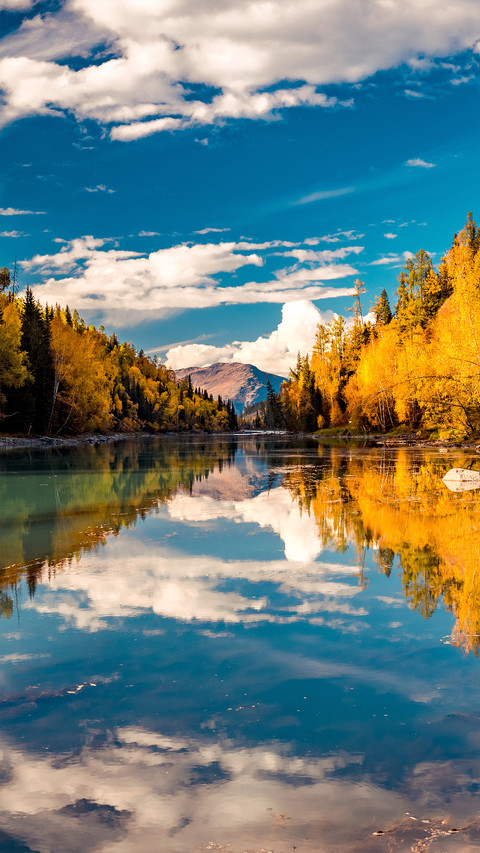 Autumn Colors on Earth screenshot