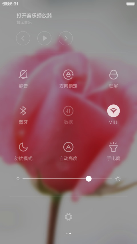 月季花开 screenshot