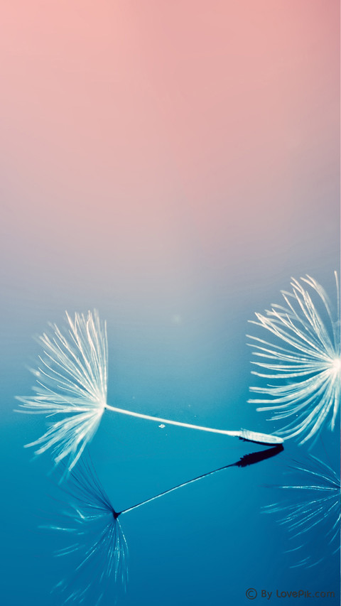LovePik-plant (4) screenshot