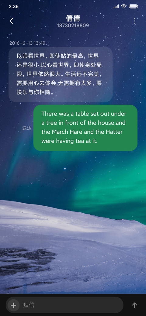 北极光 screenshot