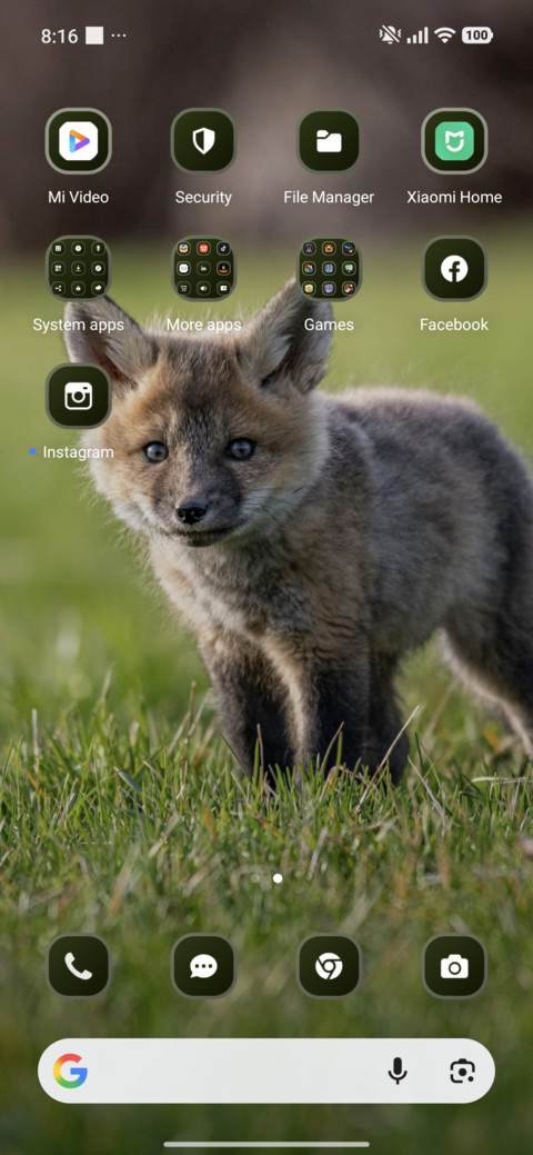 Baby Fox screenshot