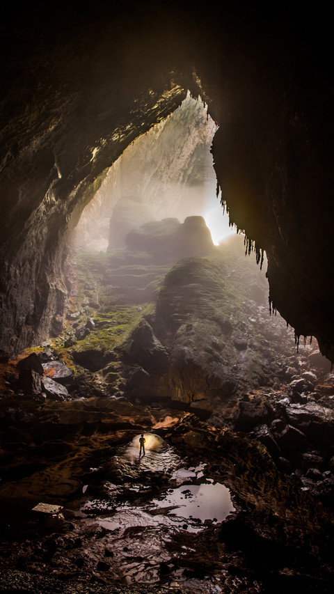Endogenous river rainforest screenshot