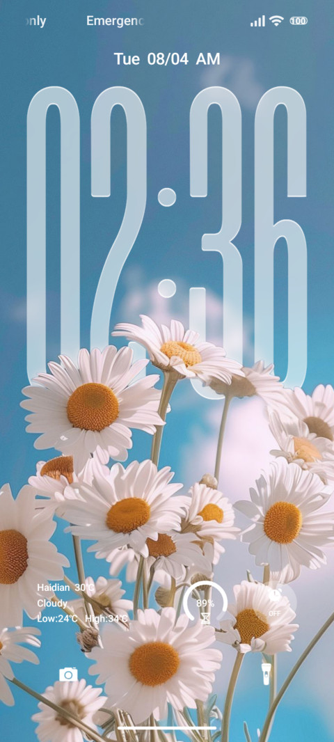 Flower screenshot