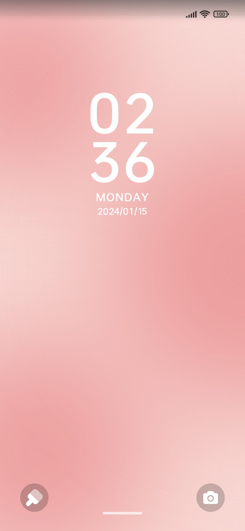 Custom check-in screenshot