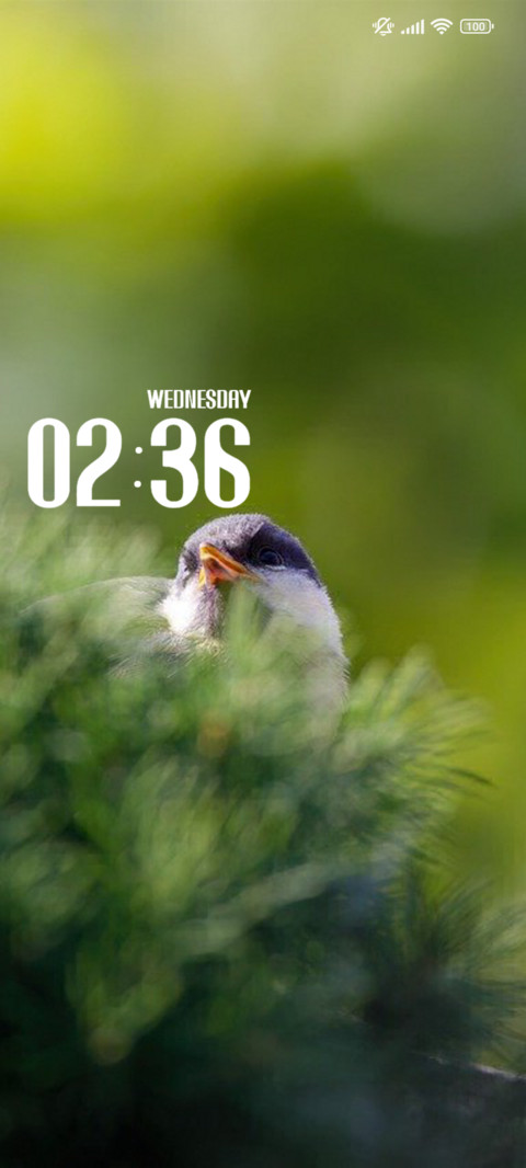 Spring Bird screenshot